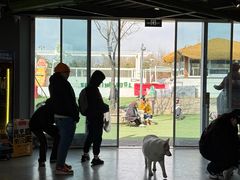 -爪吧宠物乐园 (温榆河示范区店)