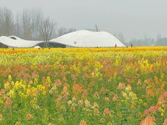 -中国天府农业博览园