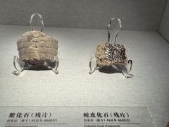 -四川宋瓷博物馆