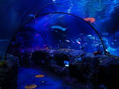 -沈阳海洋探索中心