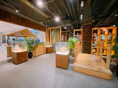 -春润大地海南椰子鸡(沙井京基百纳广场店)