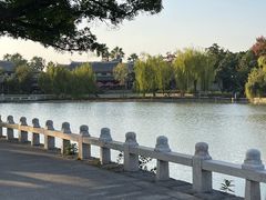 -江心屿景区