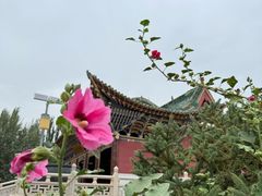 -敦煌莫高窟