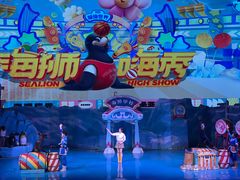 -大连圣亚海洋世界