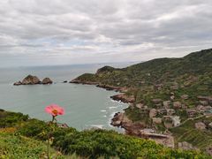 -枸杞岛