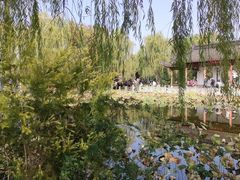 -武汉园博园(武汉自然博物馆)