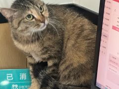 -贝利宠物医院·骨科·眼科·肿瘤转诊中心(南坪诊疗中心)