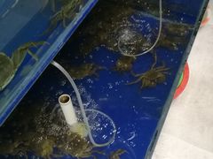 -阳澄湖大闸蟹·琼灵阁牌品牌连锁(吴中总店)