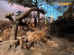 -上海科技馆(地铁站)