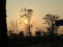 -宝安西湾红树林湿地公园