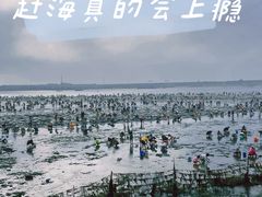-那香海钻石沙滩浴场