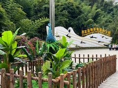 -西双版纳原始森林公园