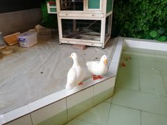 -六鳌翡翠湾滨海度假景区