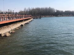 -丁香湖公园