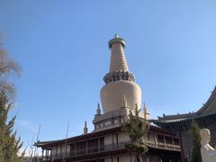 -张掖大佛寺景区