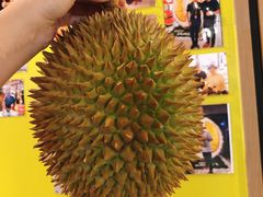 -都念榴莲·城市榴莲