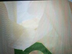 -德克士(东至汇金店)