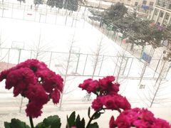 -东北大学(南湖校区)