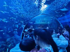 -海合安成都极地海洋公园