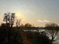 -上海长兴岛郊野公园