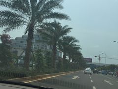 -海口东站