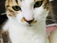 -宠颐生宠物医院·骨外科·犬猫全科诊疗中心(池州店)