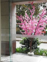 -榕树上·瑜伽普拉提