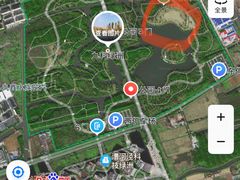 -九科绿洲