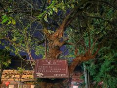 -大理文庙(大理古城)