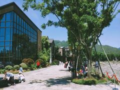 -千峡湖生态旅游度假区