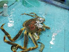 -渔民新村(番禺总店)