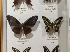 -中国湿地博物馆