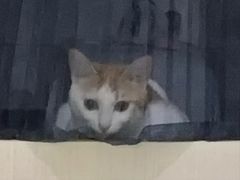 -麦当劳(沙河店)