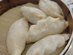 -陶姐冷粉