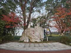 -金鸡湖桃花岛