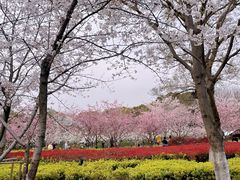 -石湖景区