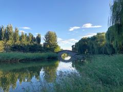 -大兴滨河森林公园