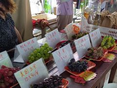 -马陆小张葡萄园农家乐