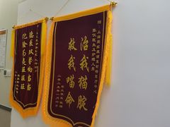 -爱妮康宠物医院·干细胞免疫细胞·肿瘤·心脏(张江店)