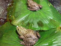 -传统菜农庄(皇姑路店)