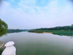 -南海子公园