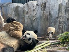 -青藏高原野生动物园