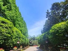 -上海虹桥迎宾馆
