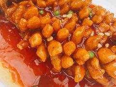松鼠桂鱼-丁老爷子苏香圆