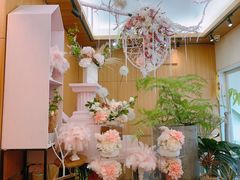 -蝶舍·MAISON PAPILLON