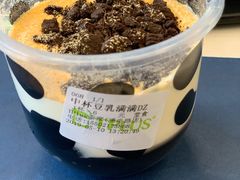 -TPLUS茶家(浦电路店)