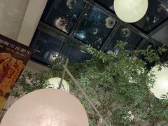 -馋嘴猫北京食堂·烤鸭·宵夜(亚运村店)