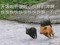 -谭景其·谭氏麻油菜包(集庆路店)