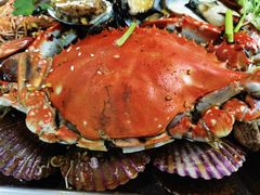 -海帮主·蒸汽海鲜青岛菜(栈桥火车站店)