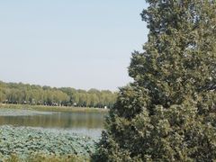 -素心小筑(后沙裕镇店)